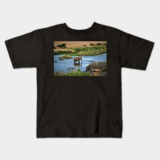 Elephant in the Crocodile River Kids T-Shirt